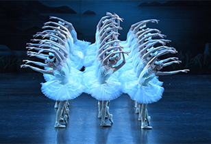 牧阿佐美バレヱ団「白鳥の湖」全幕 画像